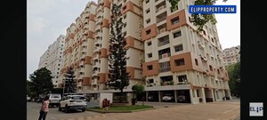 3 BHK Apartment For Rent in My Home Jewel Agate Block, Madinaguda
