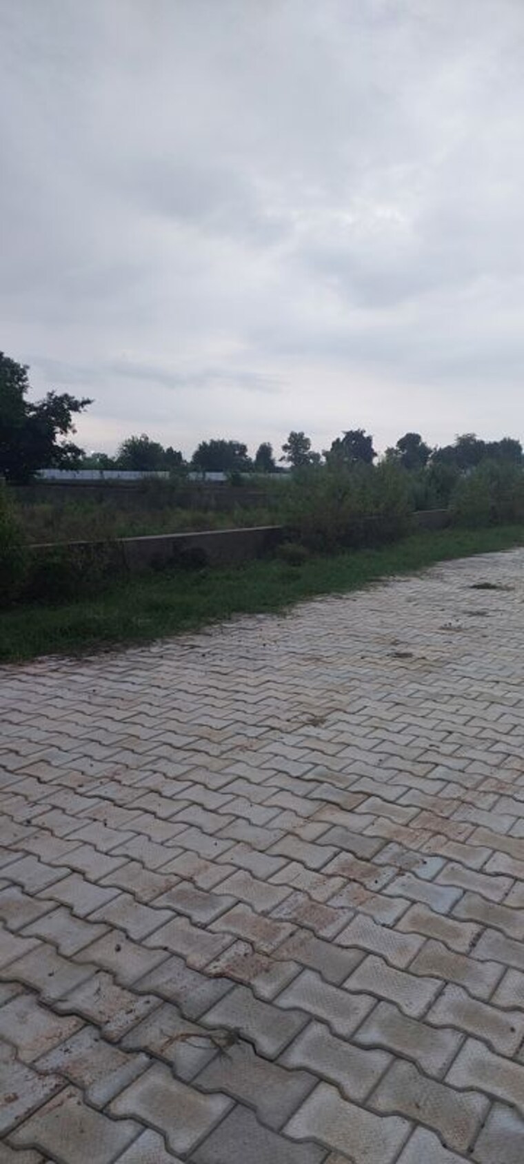 undefined, gwalior road  100 Sq.Yd. Plot In Gwalior Road Agra 10689015