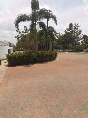  Plot – Garden View at Embassy Springs Plots, Devanahalli - for Sale