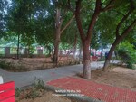 266 Sq.Yd. Plot in RWA Residential Society Sector 46