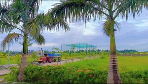  Plot – Garden View at Tagarapuvalasa - for Sale