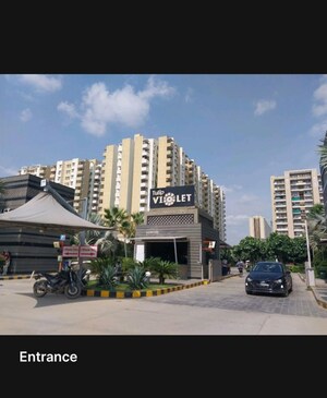 3 BHK Apartment For Sale in Tulip Violet, Sector 69