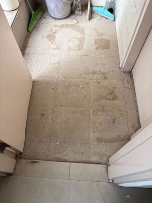 Building Lobby in 3 BHK Builder Floor at Sector 23 – for Rent