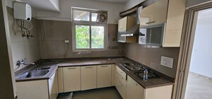 Kitchen in 3 BHK Builder Floor at Sector 22 – for Rent
