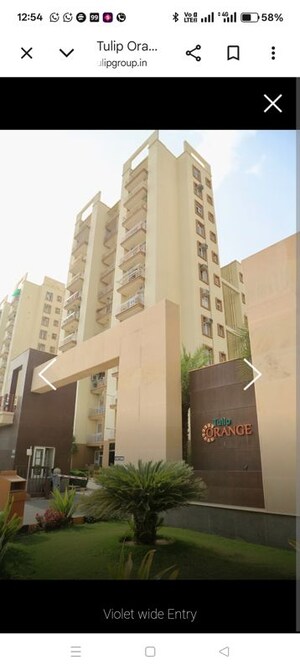 3 BHK Apartment For Sale in Tulip Orange, Sector 70