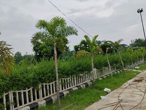 Plot Area in  Plot at Rahmatnagar – for Sale