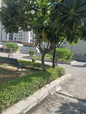 3.5 BHK Apartment – Exterior View View at Assotech Springfields, Zeta I Greater Noida - for Sale