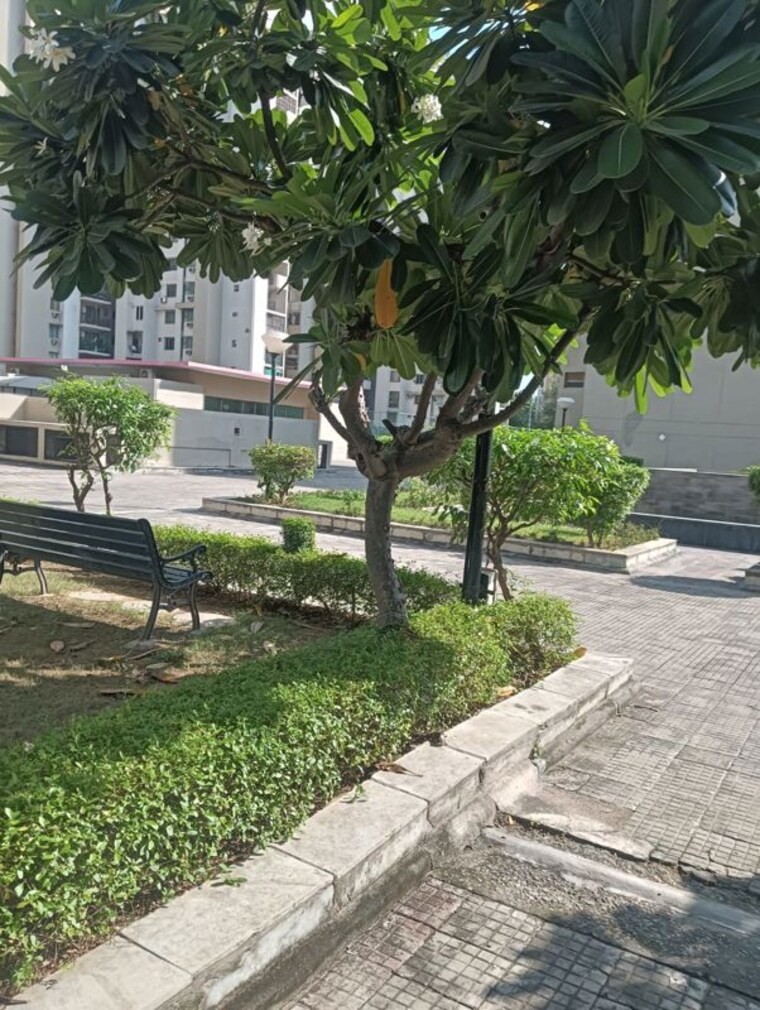 Exterior View, assotech-springfields 3.5 Bedroom 2259 Sq.Ft. Apartment In Zeta I Greater Noida Greater Noida 10690041