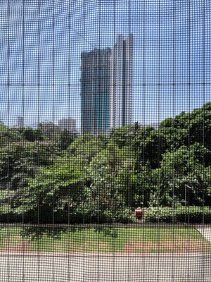 3 BHK Apartment – Garden View at Tata Serein, Pokhran Road No Two - for Rent