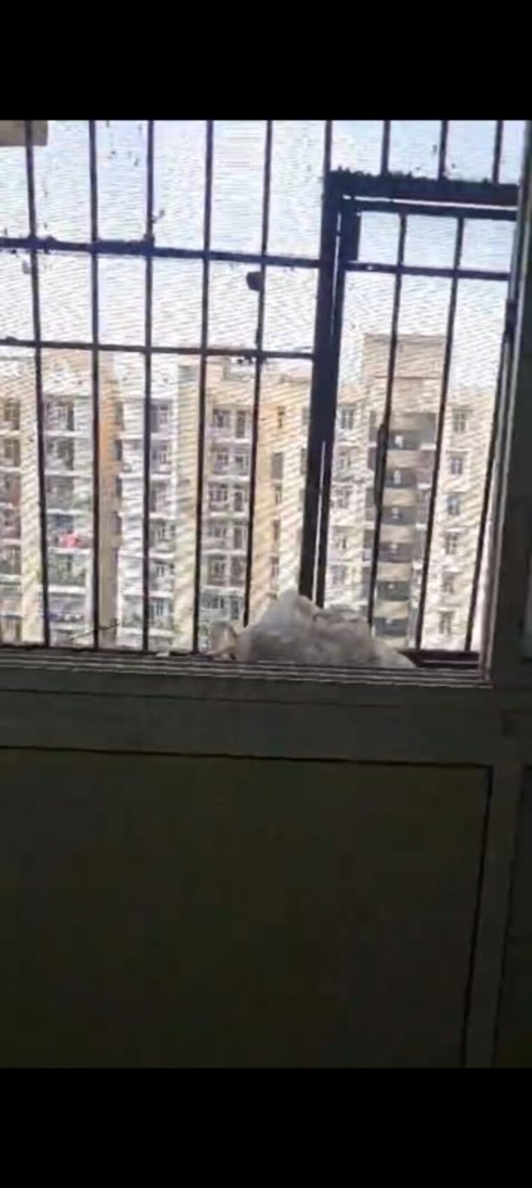 Exterior View, kdp-grand-savanna 3 Bedroom 1550 Sq.Ft. Apartment In Raj Nagar Extension Ghaziabad 10690389