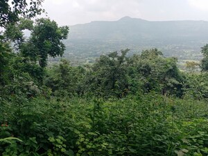  Plot – Garden View at Mulshi - for Sale