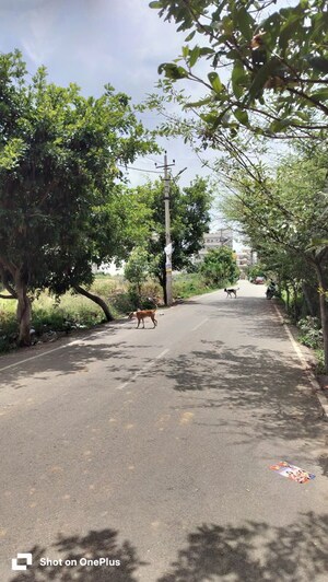  Plot – Exterior View View at Pragathi Residency Parappana, Parappana Agrahara - for Sale