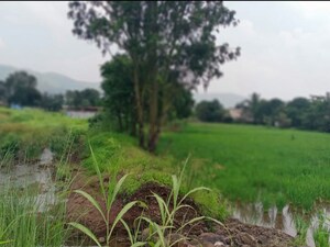  Plot – Garden View at Mulshi - for Sale