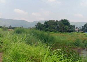  Plot For Sale in Mulshi