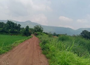 Plot Area in  Plot at Mulshi – for Sale