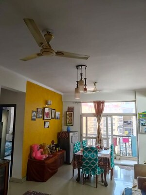 Gym in  Pg at Sector 51 – for Rent
