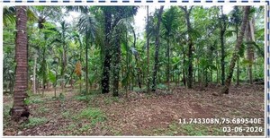 Plot Area in  Independent House at Parappara – for Sale