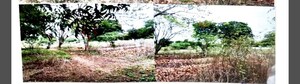  Land – Exterior View View at Naidupet - for Sale