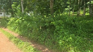  Land – Exterior View View at Venjarammoodu - for Sale