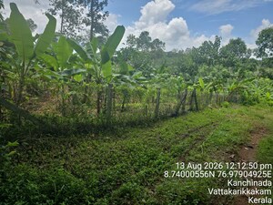 Plot Area in  Shop at Pangodu – for Sale