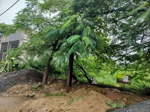 Plot Area in  Land at Sanwer – for Sale