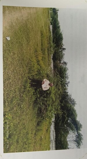  Land – Exterior View View at Thakkolam - for Sale