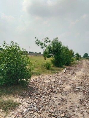  Plot For Sale in Jharoda Kalan