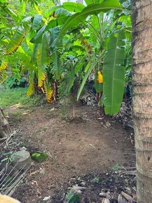  Plot For Sale in Thycaud