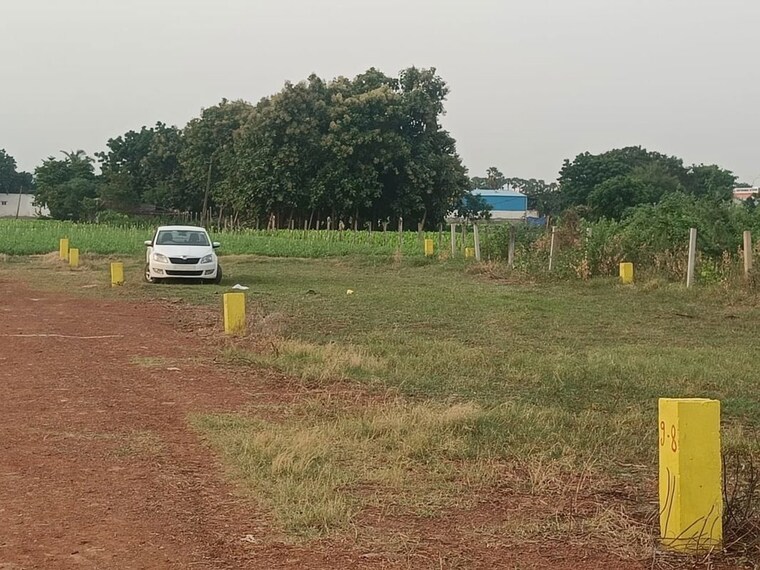 undefined, kunchanapalli  301 Sq.Yd. Plot In Kunchanapalli Vijayawada 10692182