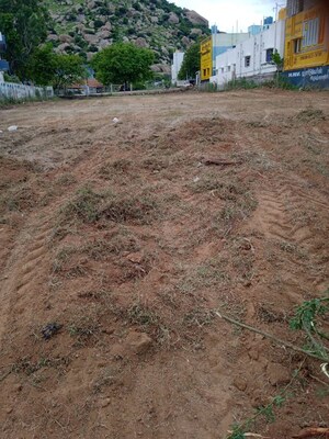  Land – Exterior View View at Rayakottai - for Sale