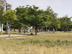 Plot Area in  Plot at Sarjapur – for Sale