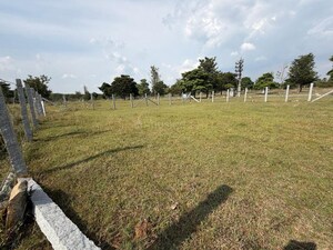 Plot Area in  Plot at Sarjapur – for Sale
