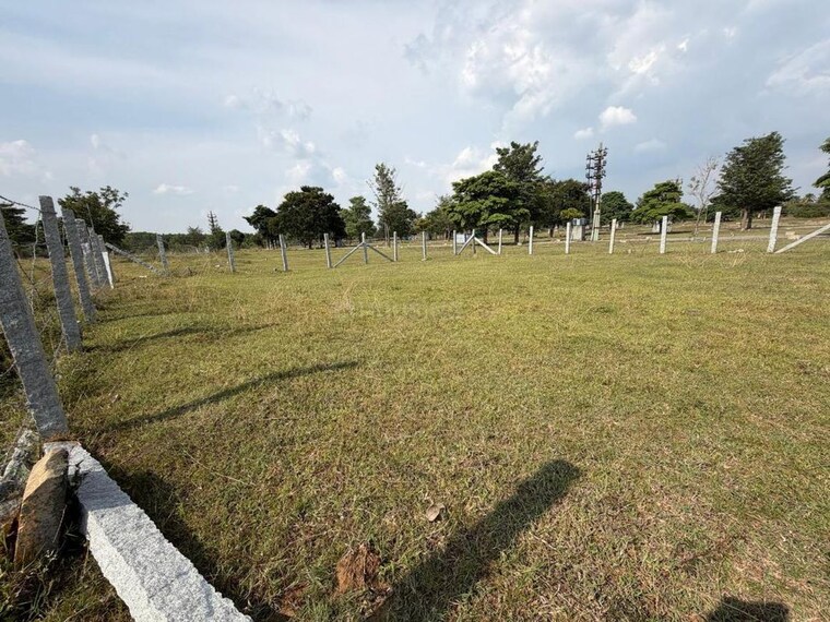 undefined, sarjapur  2400 Sq.Ft. Plot In Sarjapur Bangalore 10687627