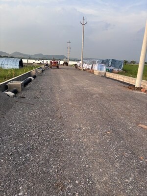 Plot Area in  Plot at Pathapadu – for Sale