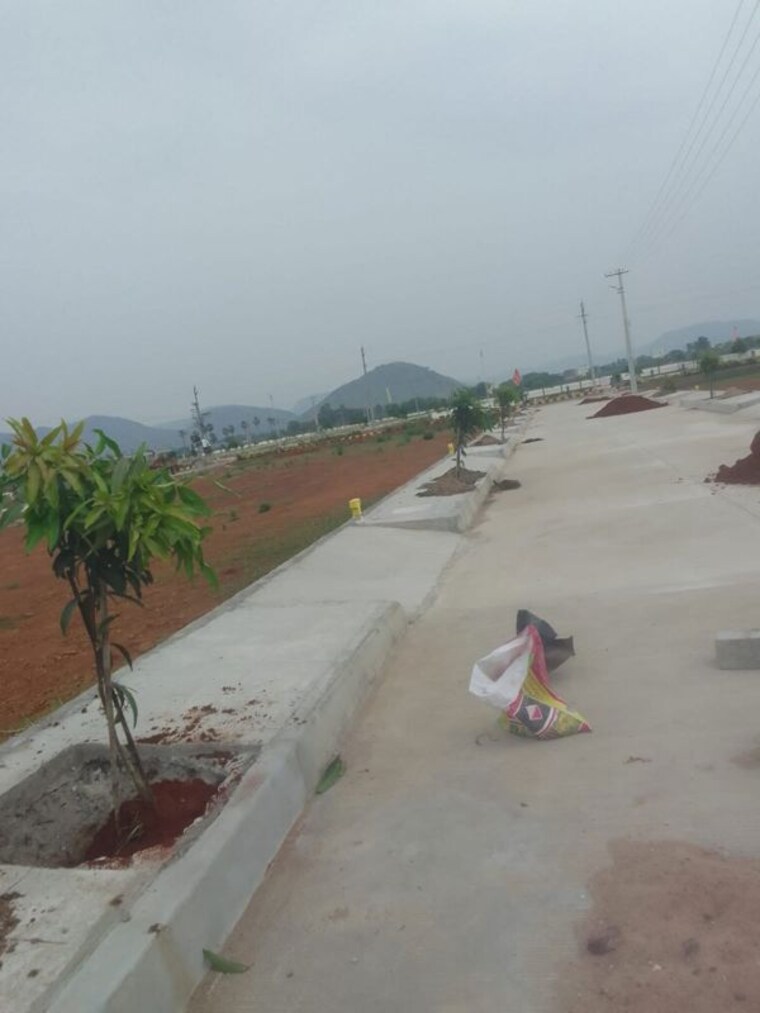 Other, pathapadu  183 Sq.Yd. Plot In Pathapadu Vijayawada 10692228