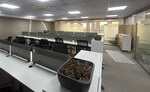 1546 Sq.Ft. Office Space in Lower Parel