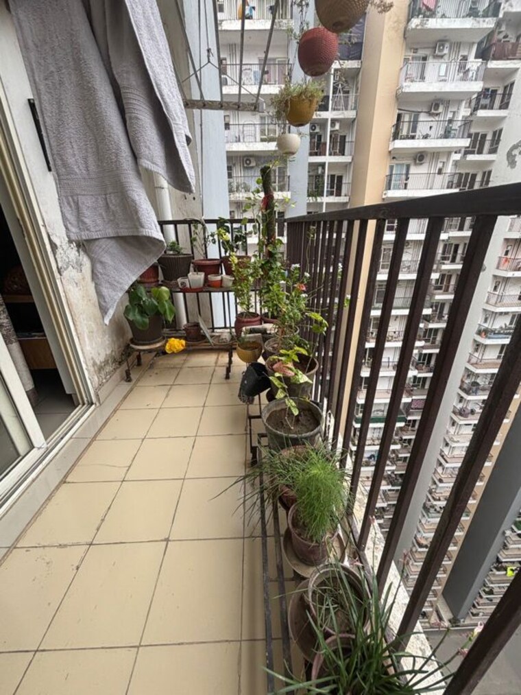 Balcony, panchsheel-greens-ii 3.5 Bedroom 1820 Sq.Ft. Apartment In Sector 16 Greater Noida Greater Noida 10692367