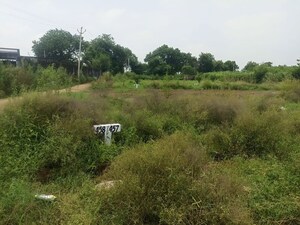 Plot Area in  Plot at Sector 20 Yamuna Expressway – for Sale