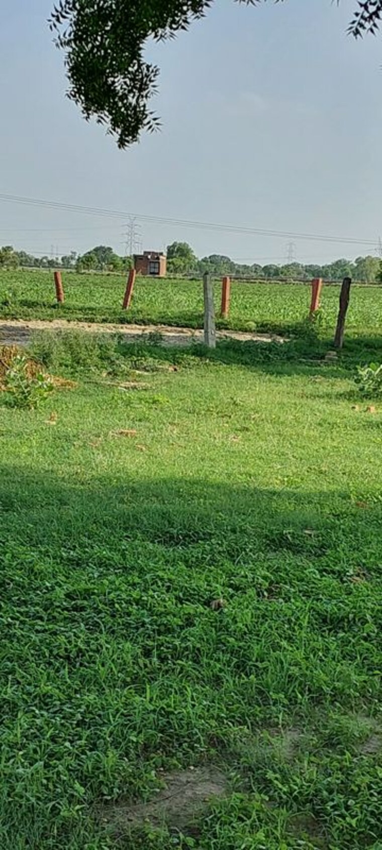 undefined, pachgain khera  100 Sq.Yd. Plot In Pachgain Khera Agra 10692332