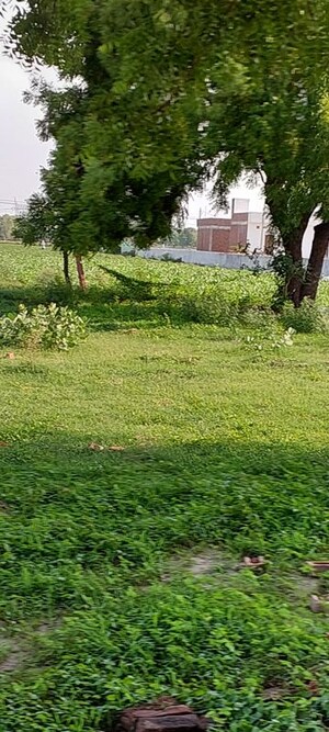  Plot – Garden View at Pachgain Khera - for Sale
