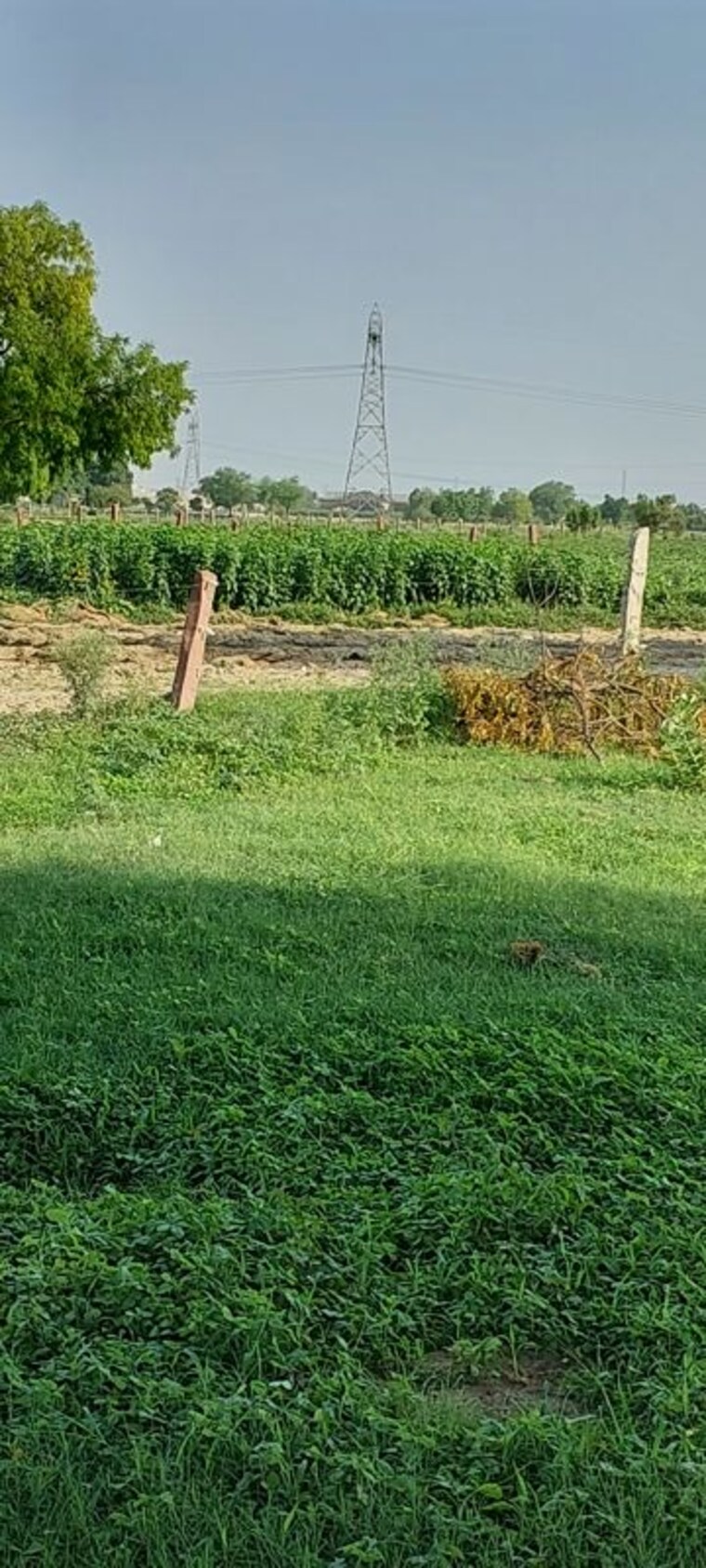 Garden, pachgain khera  100 Sq.Yd. Plot In Pachgain Khera Agra 10692332