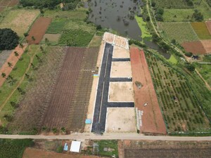  Plot For Sale in Sitrus Nandi View, Chikkaballapur