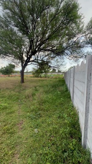  Plot For Sale in Kodangal