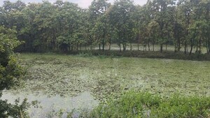 Plot Area in  Land at Kisan Path – for Sale
