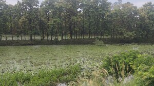 Plot Area in  Land at Kisan Path – for Sale