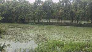 Plot Area in  Land at Kisan Path – for Sale