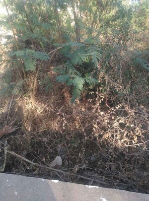  Plot For Sale in Old Neredmet