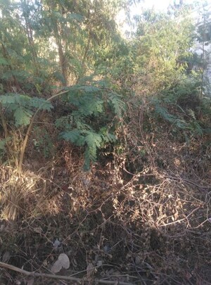 Plot Area in  Plot at Old Neredmet – for Sale