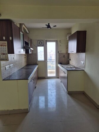 1 BHK +Apartment For Rent in Aditya Celebrity Homes in Sector 76, Noida