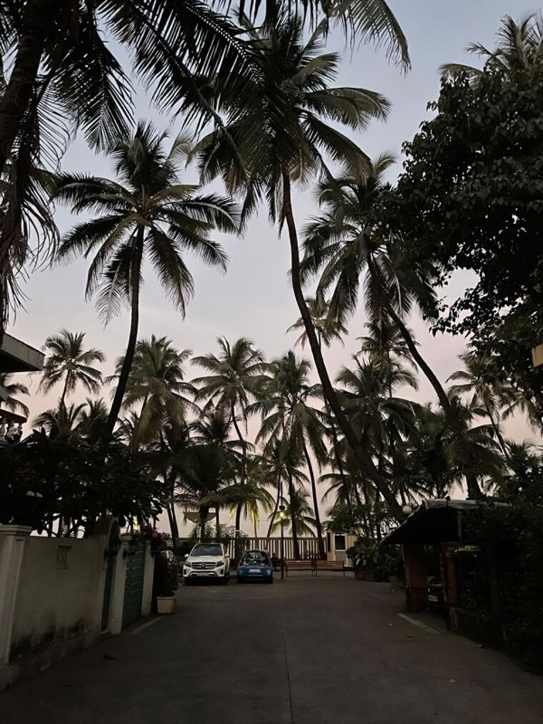 Exterior View, juhu 1 Bedroom 500 Sq.Ft. Apartment In Juhu Mumbai 10693310